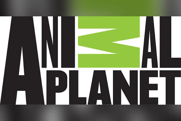 Animal Planet logo