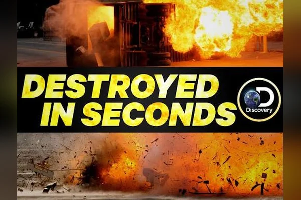 Destroyed in Seconds logo